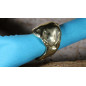 La bague tête de silure seule