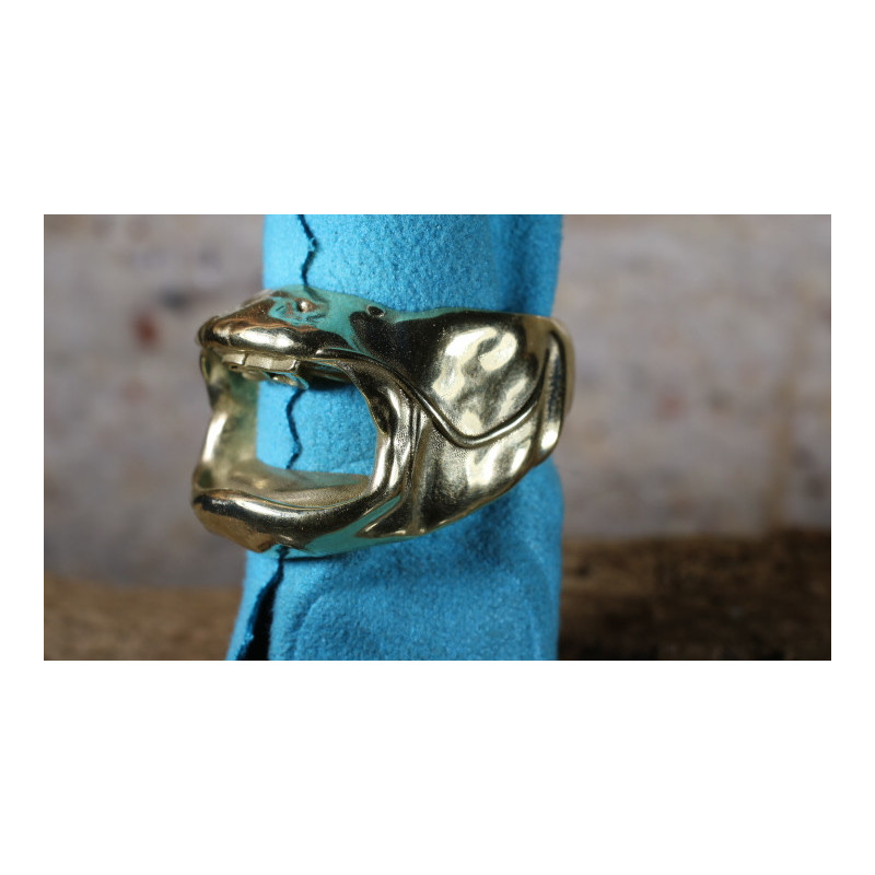 La petite bague silure