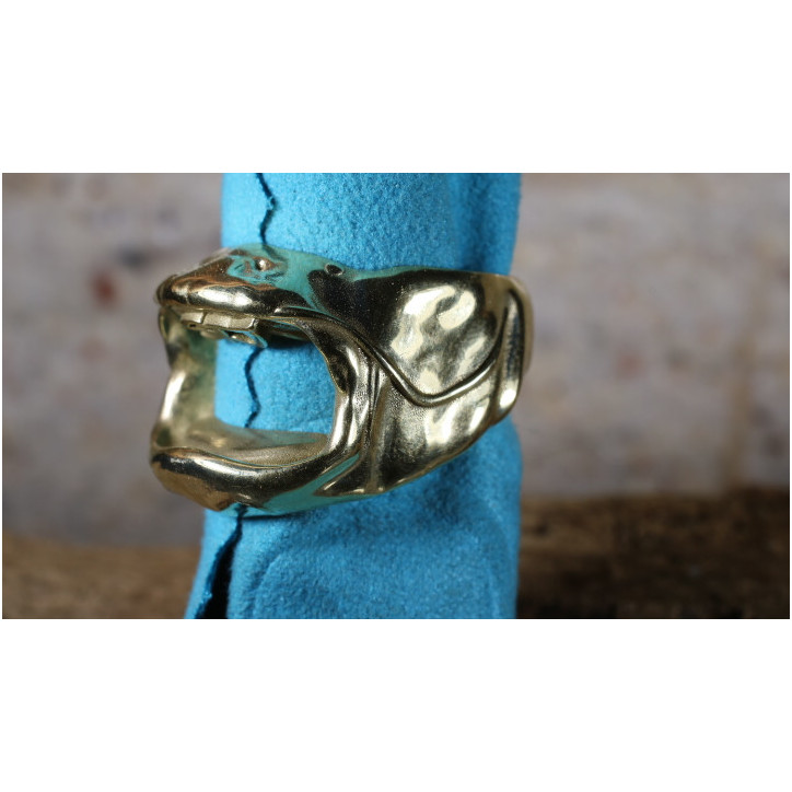 La petite bague silure