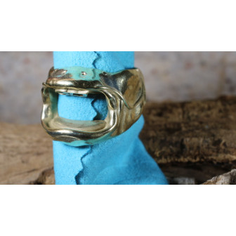 La petite bague silure