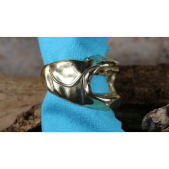 La petite bague silure